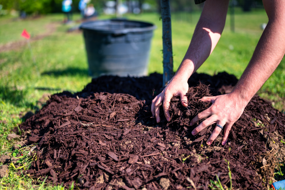 How Much Mulch Do You Actually Need (And How to Use It Right)