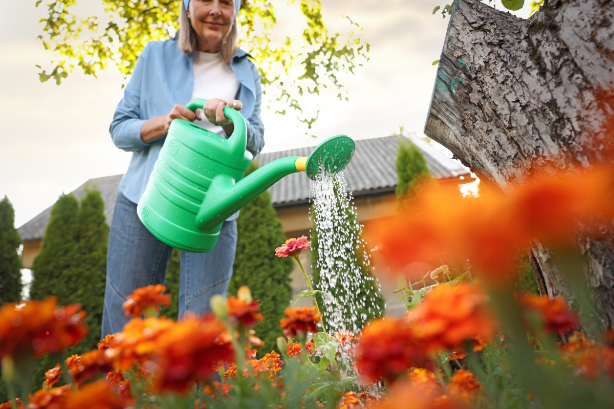 Watering 101 (How to Water Your Garden Without Overthinking It)