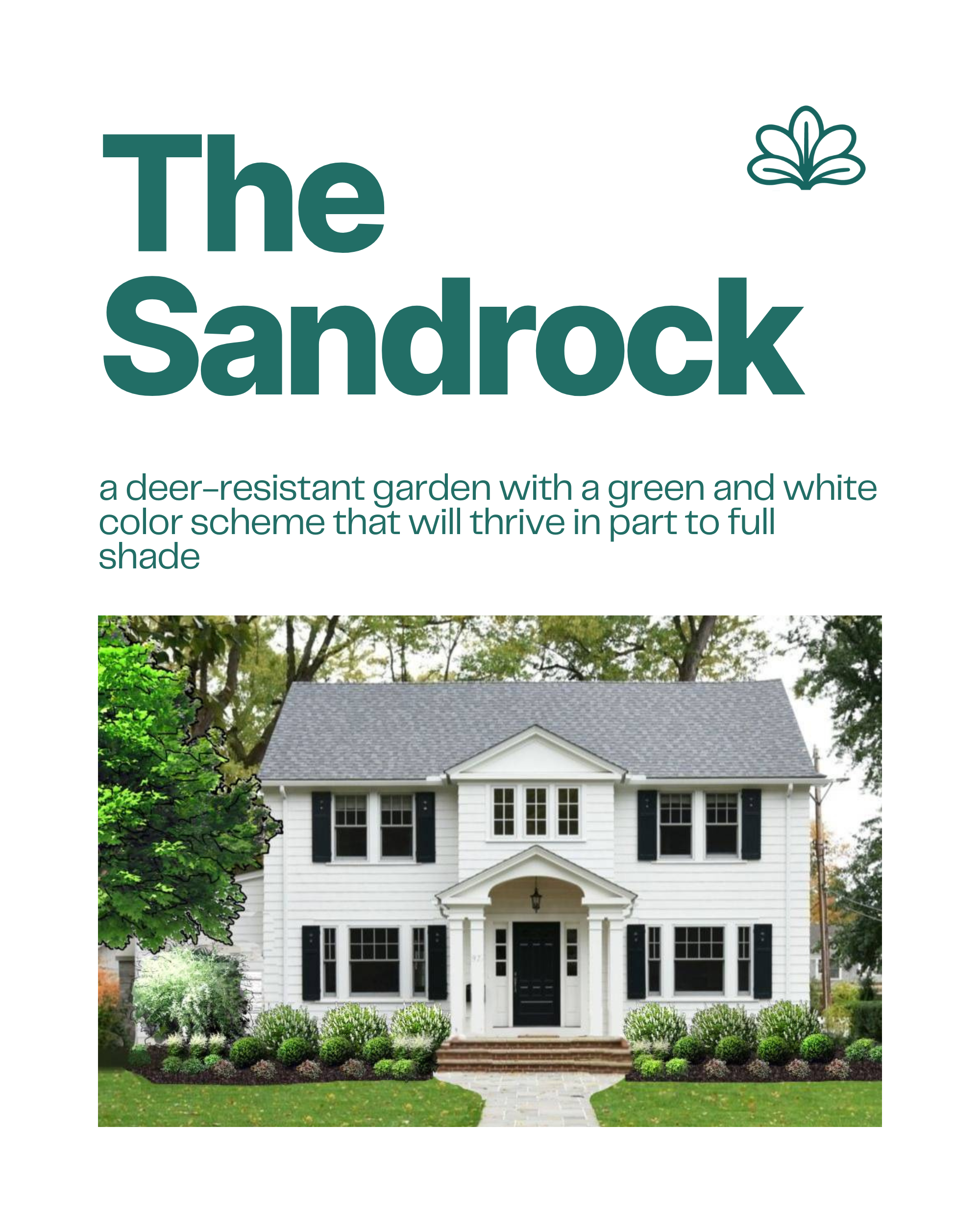 The Sandrock shade garden blueprint with deer-resistant foundation plantings around a colonial home