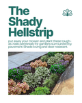 The Shady Hellstrip garden blueprint featuring shade-loving perennials and groundcovers designed for narrow strips between sidewalk and street