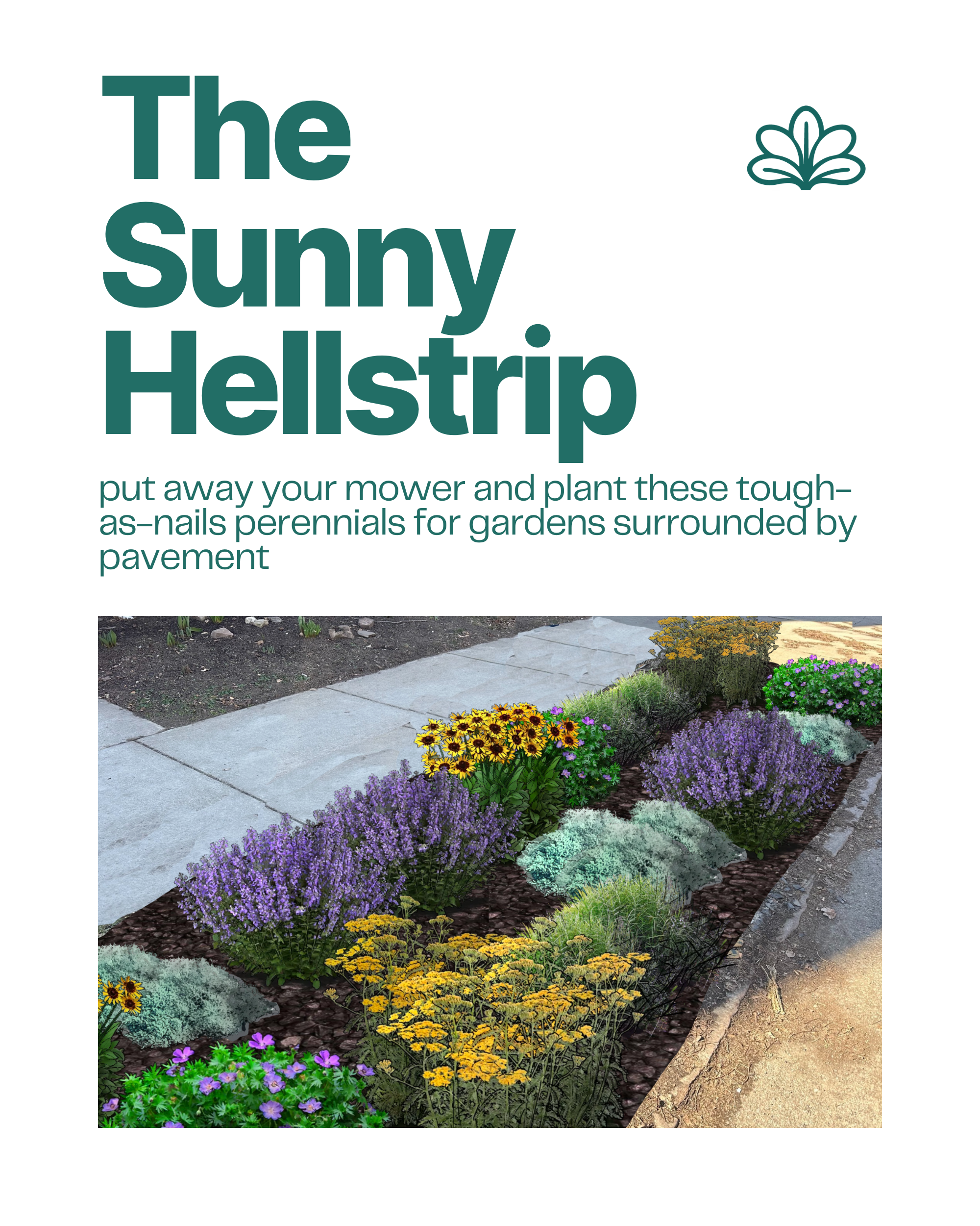 The Sunny Hellstrip garden blueprint with sun-loving perennials and grasses for curbside planting strips between sidewalk and street