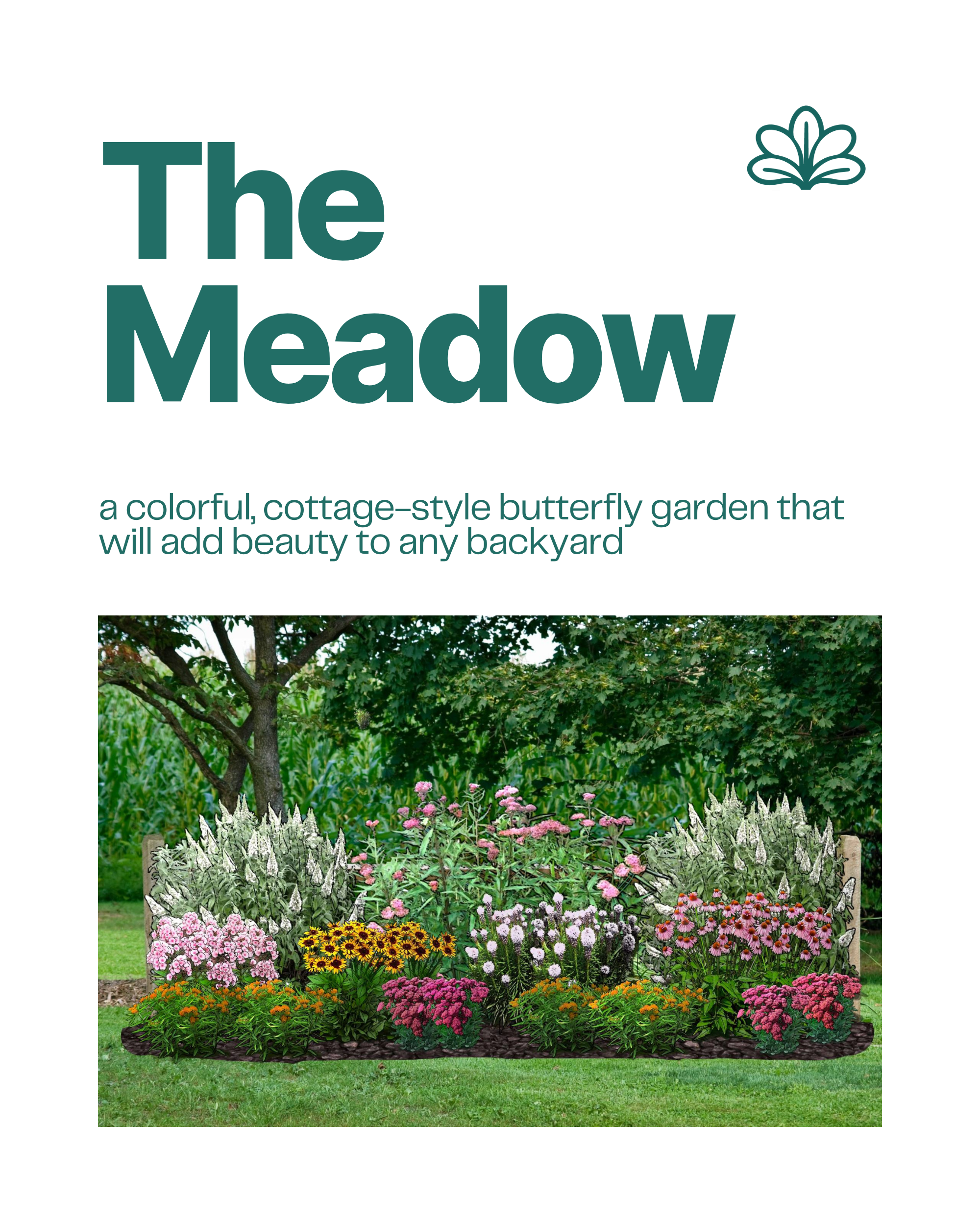 The Meadow pollinator garden blueprint with colorful cottage-style butterfly garden design for backyards